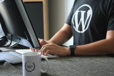 desarrollador de WordPress